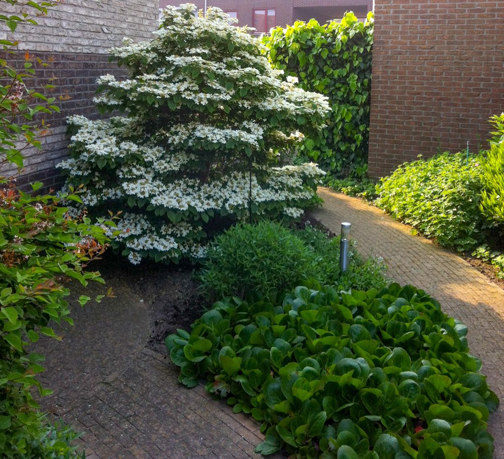 Tuinproject 5