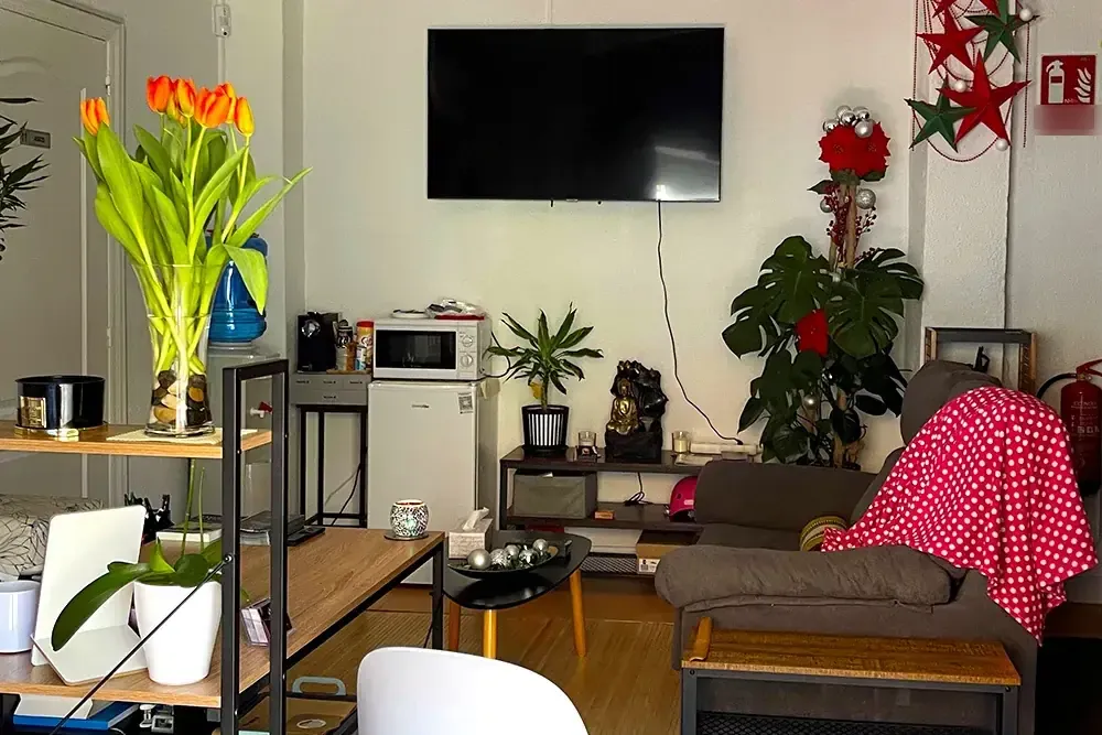Zona de espera con sofá y plantas